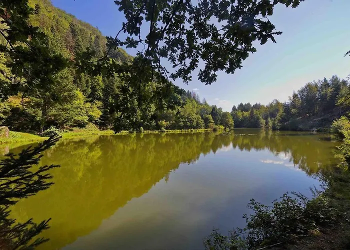 Duplex- La Medelle * Saulxures-sur-Moselotte